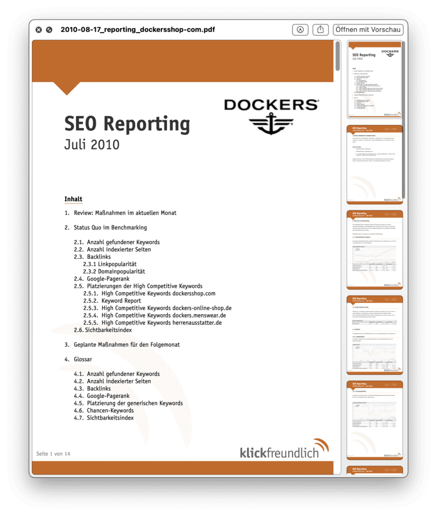 SEO Report als PDF